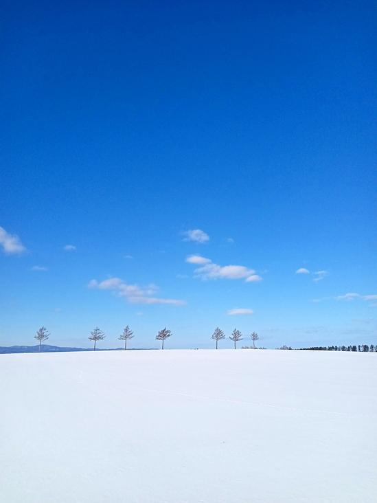 雪原のメルヘンの丘＆野生動物の足跡　北海道大空町女満別