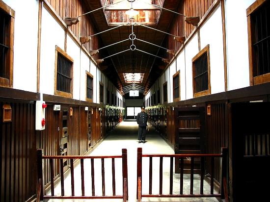 北海道が舞台のアニメ・映画『ゴールデンカムイ』 漫画家・原作者:野田ミノル 北海道北広島市出身