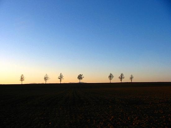 夕暮れのメルヘンの丘　北海道大空町女満別